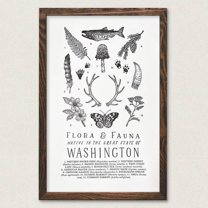 The Wild Wander - Wholesale Art Print - Washington Field Guide0