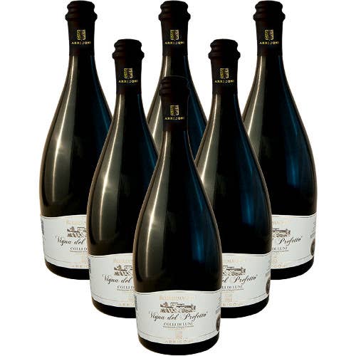 Metina SAS – Engroshandel Hvidvin – Vigna del Prefetto Vermentino DOC Colli di Luni Rosadimaggio2