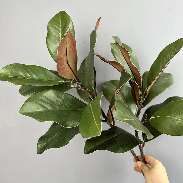 Sweet Home Deco - Wholesale Artificial flowers - 22''T Nature Touch Faux Magnolia Leaf Branch, Indoor/Ourdoor