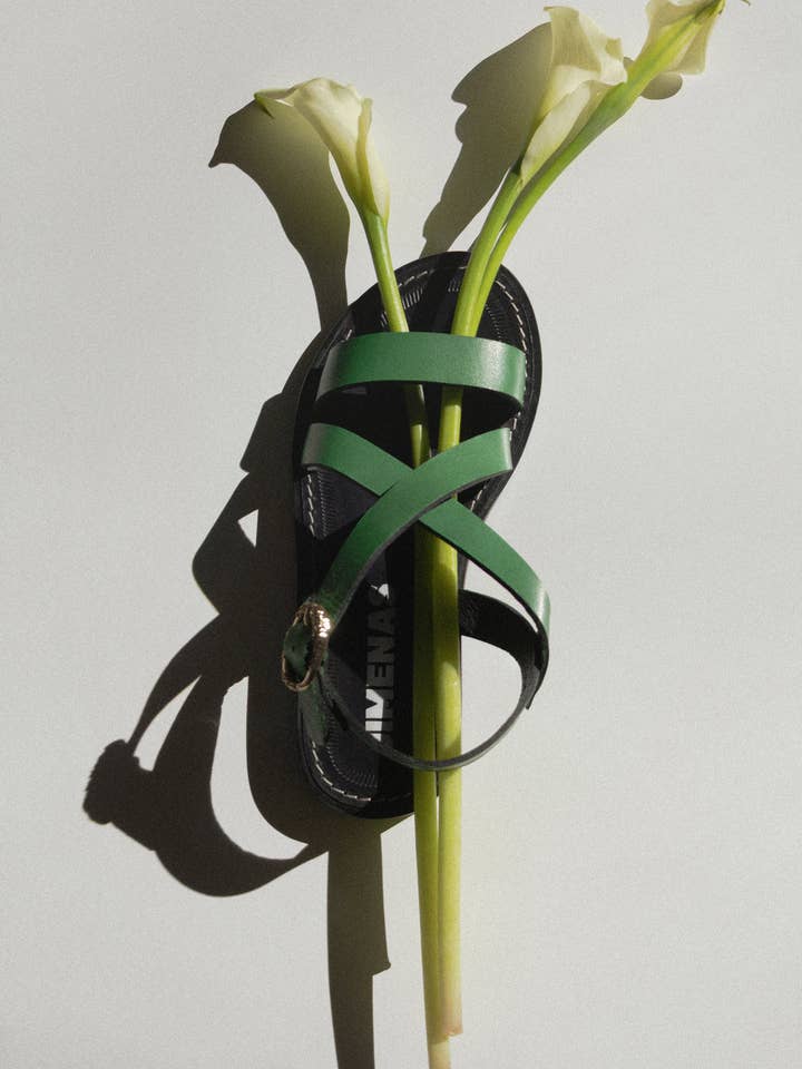 GRÖN DAMIANA för wholesale av JIMENAS