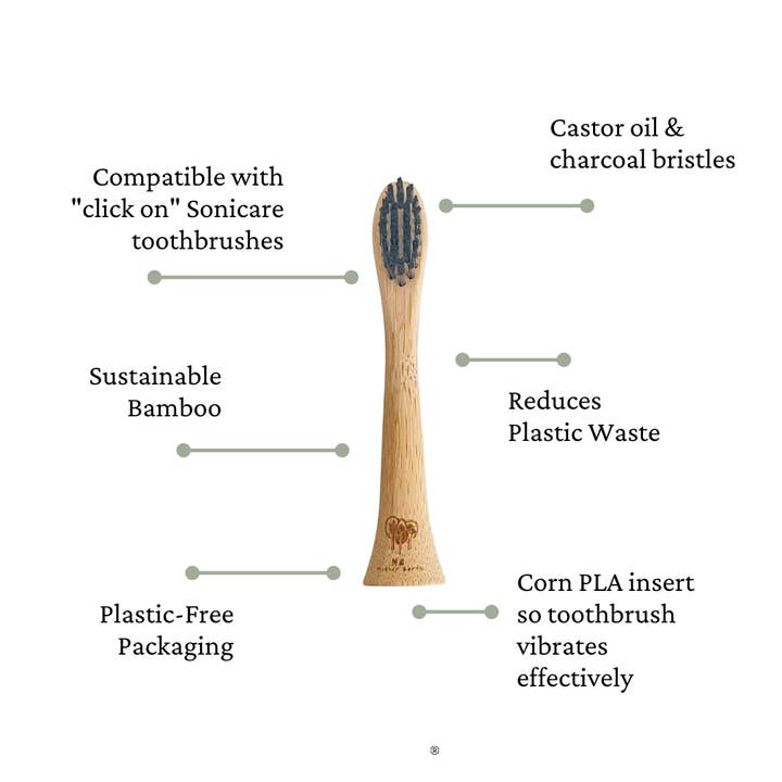 Me Mother Earth - Wholesale Toothbrush - 4-Pack Bamboo Electric Toothbrush Heads- Sonicare Compatible