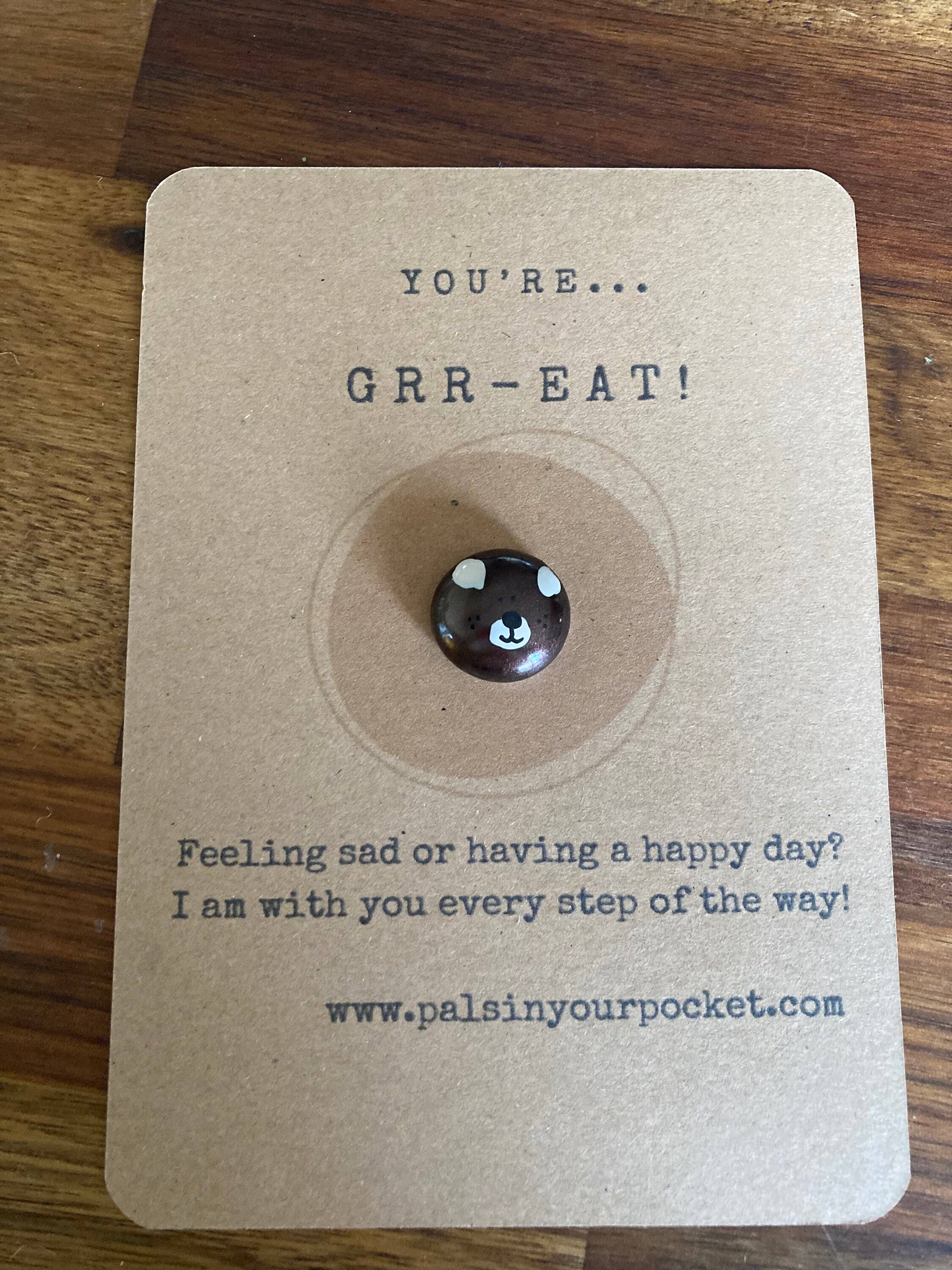 Pals in your Pocket – wholesale Keepsake coin/token – Children's Anxiety Teddybear With Comfort Pebbles0