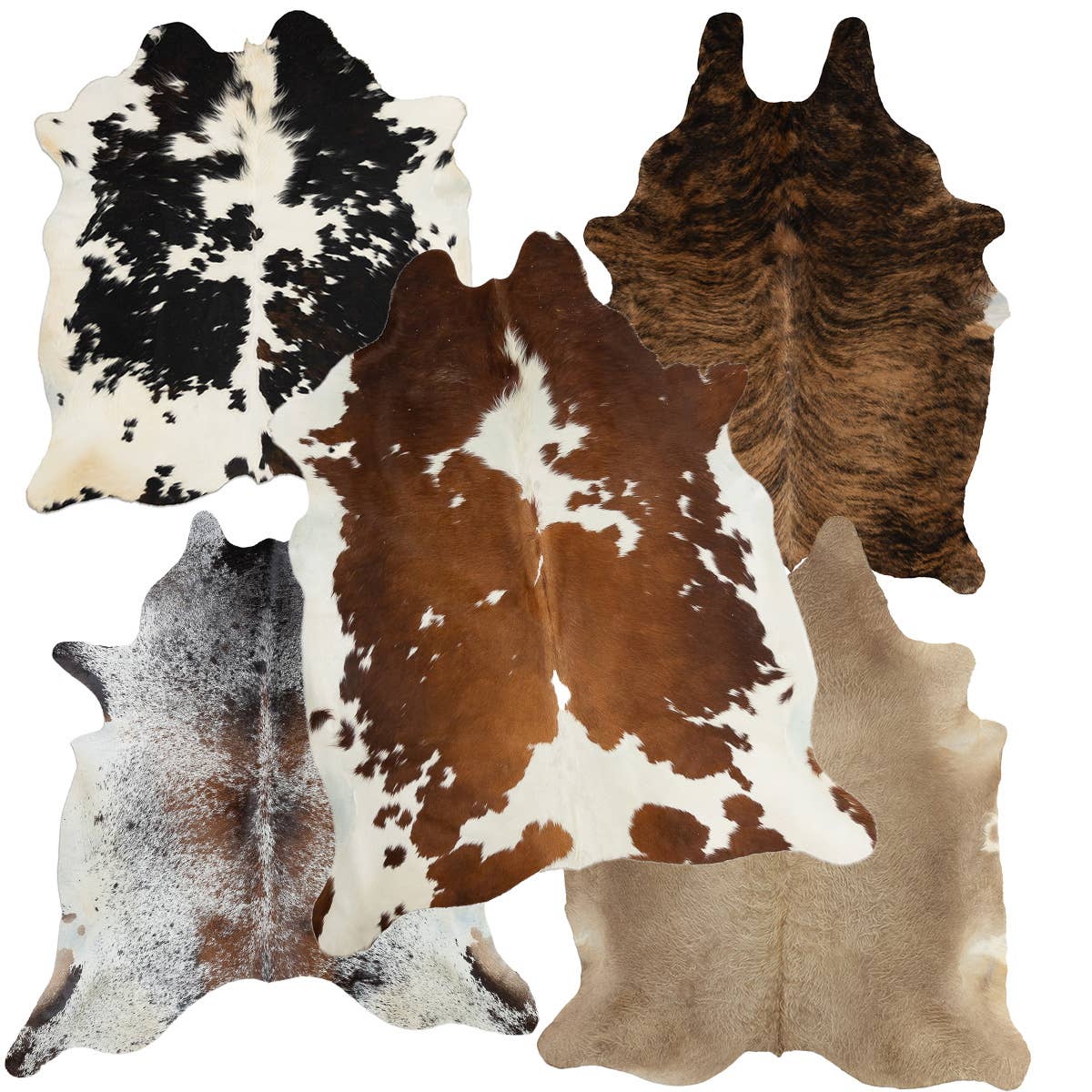 B.S. Trading Co - Wholesale Area Rug - Pallet of Cowhides (large)1
