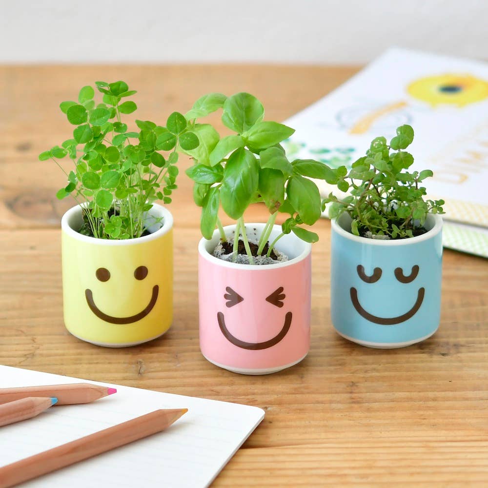 Noted - Wholesale Plant Pot - Happy Plant - Assorted 3 Styles1