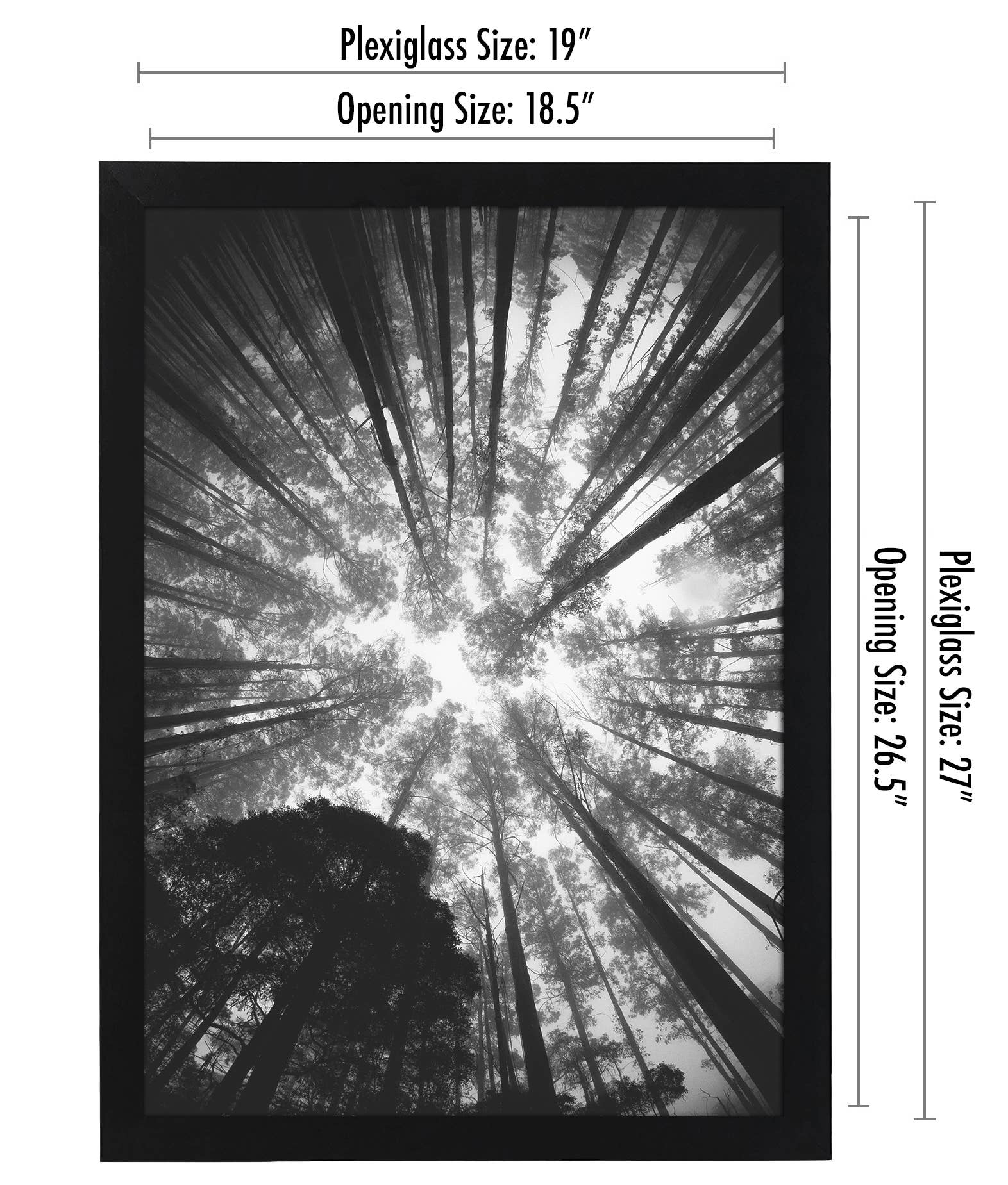 Americanflat - Wholesale Picture Frame - Americanflat Poster Frame with Wide Molding166