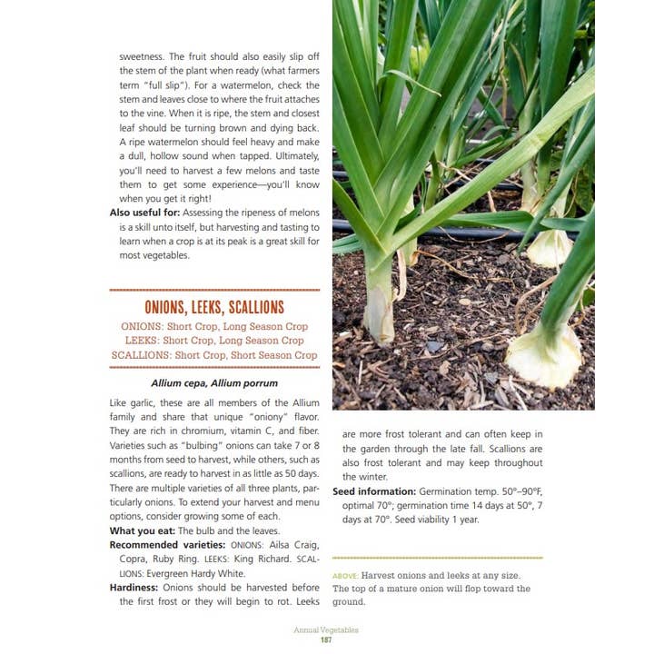 Mountaineers Books - Wholesale Home & Garden - Food Grown Right, In Your Backyard5