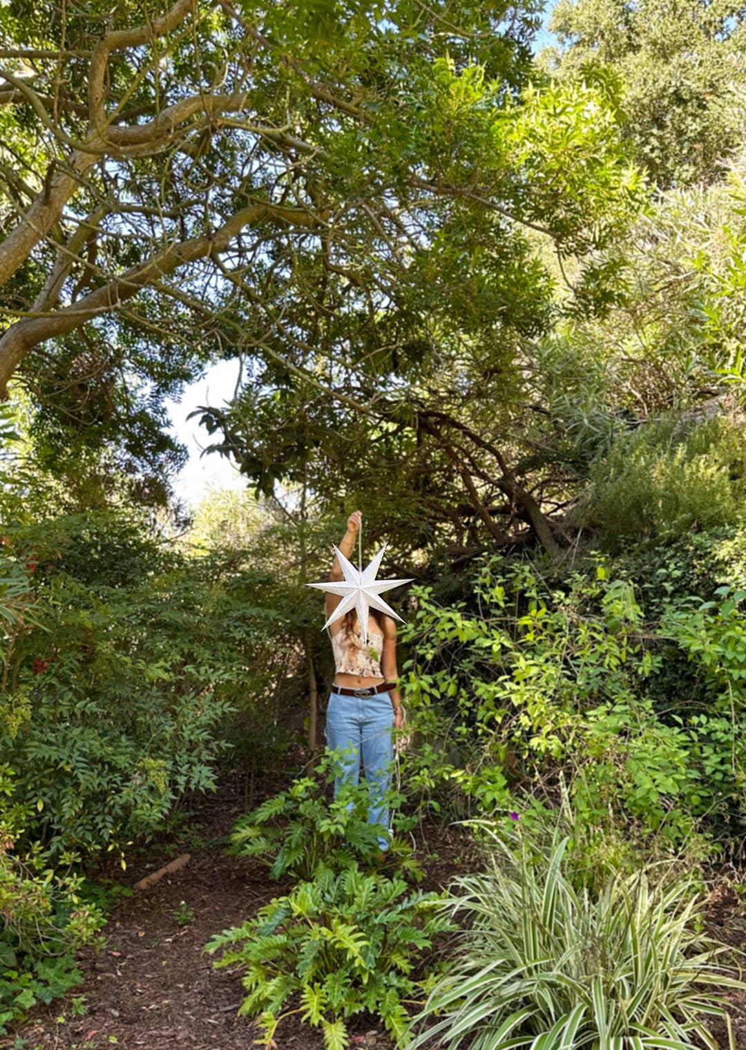 Artecnica - Wholesale Paper Lantern/Lamp - Cristal White Earth Friendly Star Lightz8