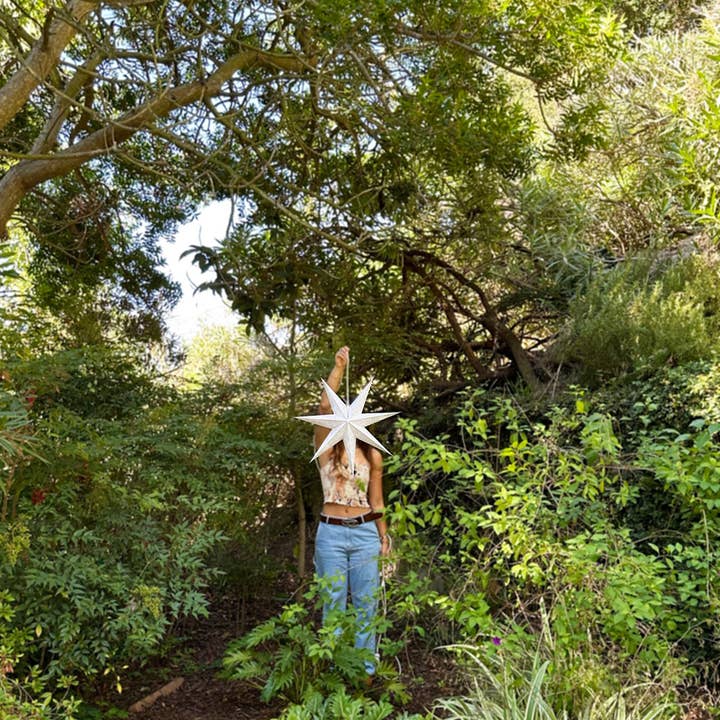 Artecnica - Wholesale Paper Lantern/Lamp - Cristal White Earth Friendly Star Lightz8