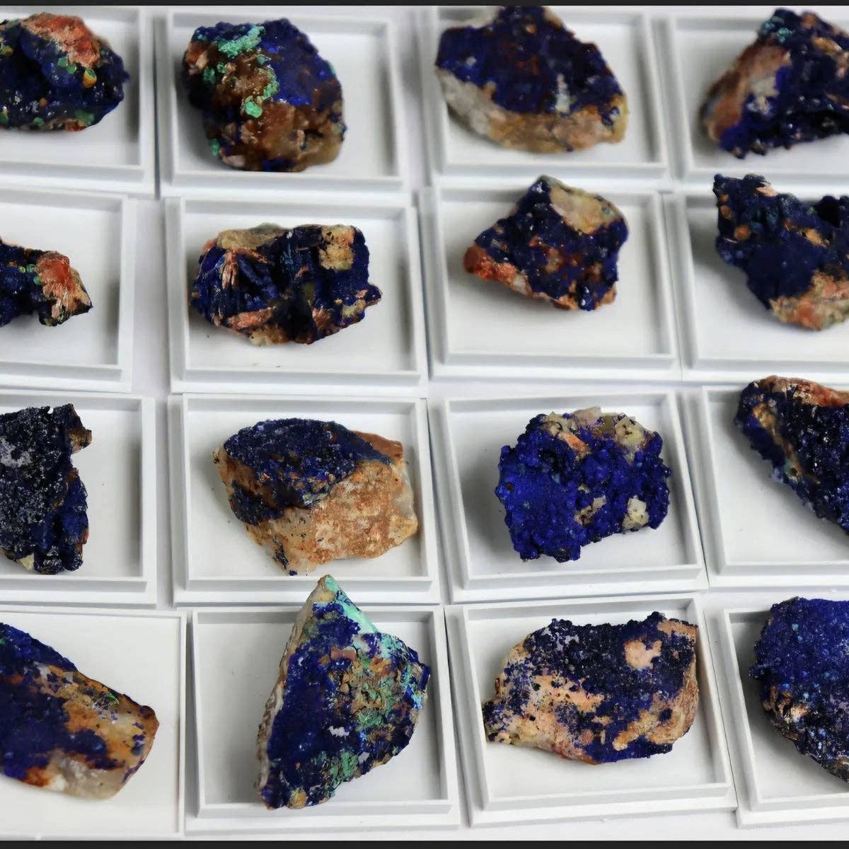 Distinction Crystals - Wholesale Spiritual Stone/Crystal - Azurite Crystal Specimens In Display Case2
