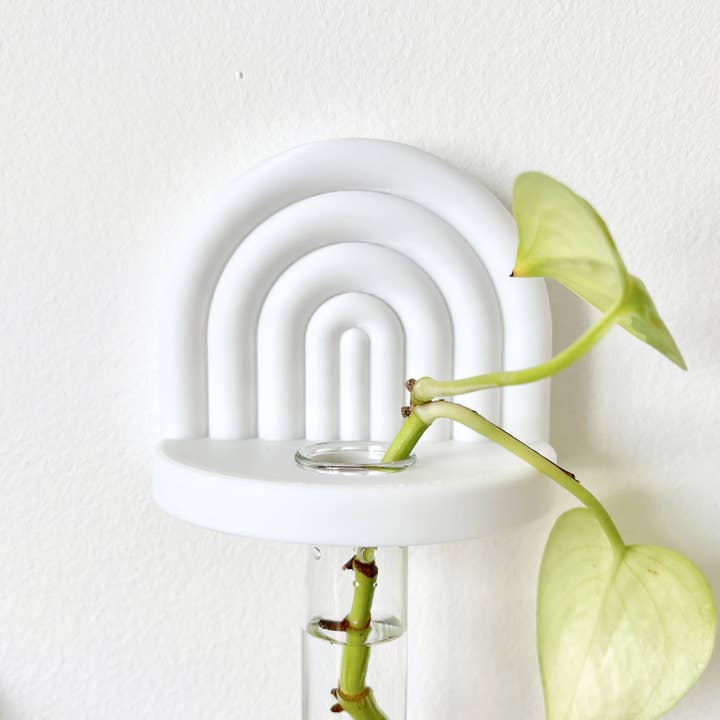 Sonnihaus - Wholesale Wall Planter - ARC Mini Propagation Station