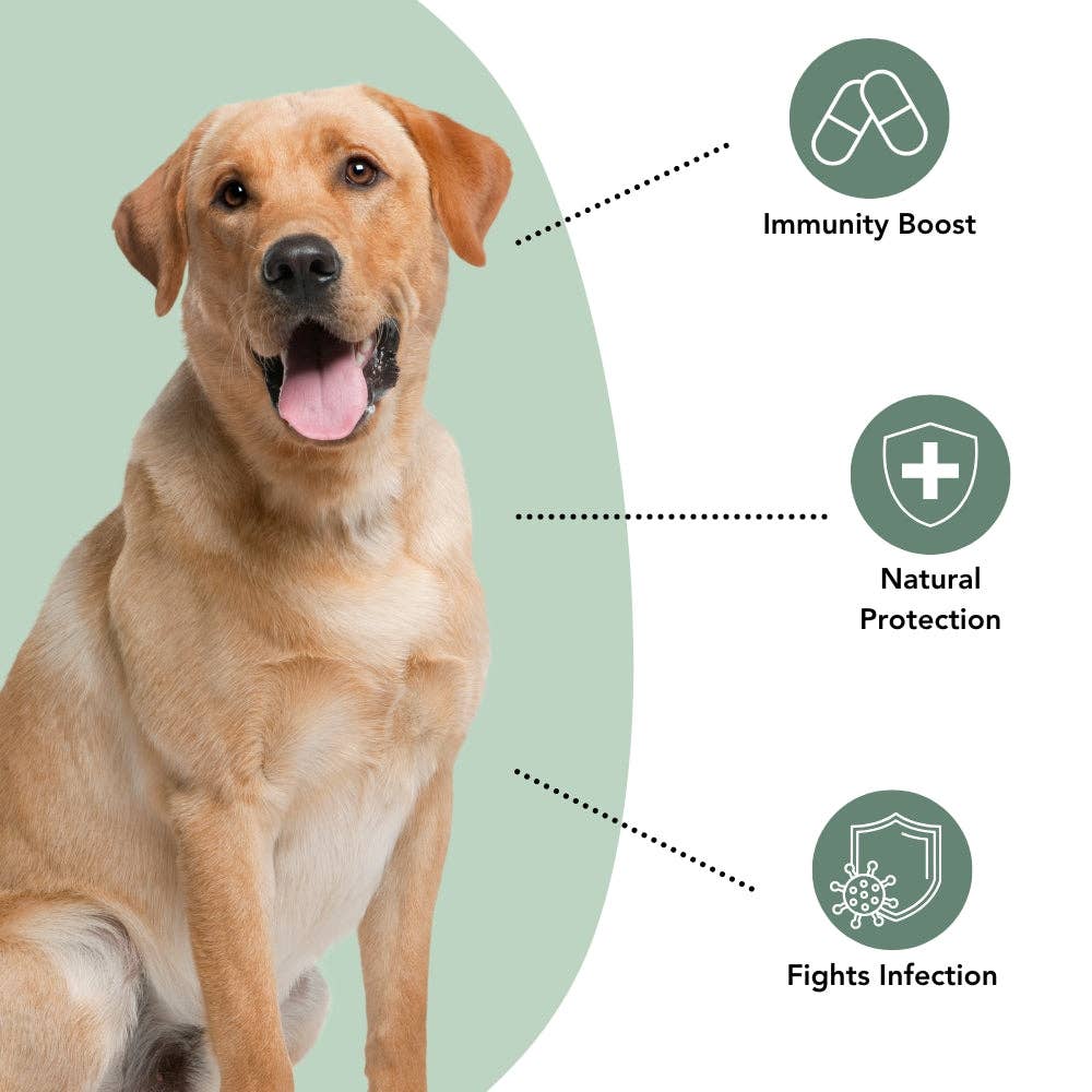 iHeartDogs.com - Vente Compléments alimentaires – chien - Soutien renforcé pour urines, vessie et reins chez les chiens – Canneberge, D-mannose et échinacée contre les infections urinaires fréquentes – 90 comprimés à mâcher - Faire7