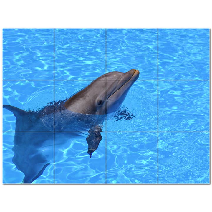 Dolphin keramiske fliser keramiske fliser vægmaleri PT500495 for engroshandel hos Picture-Tiles.com