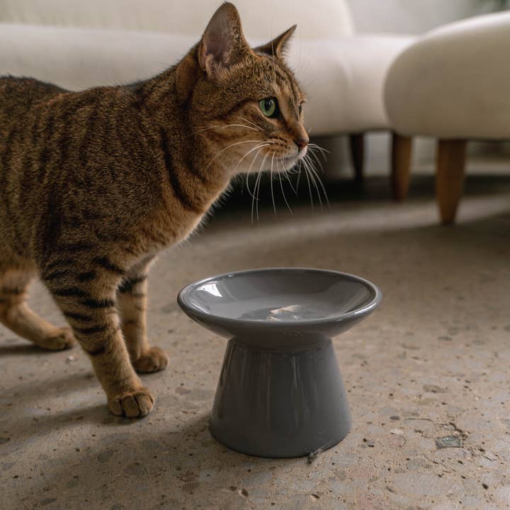 dexypaws - Wholesale Pet Bowl - Cat/Dog - Flat Top Ceramic Cat Bowl - Grey