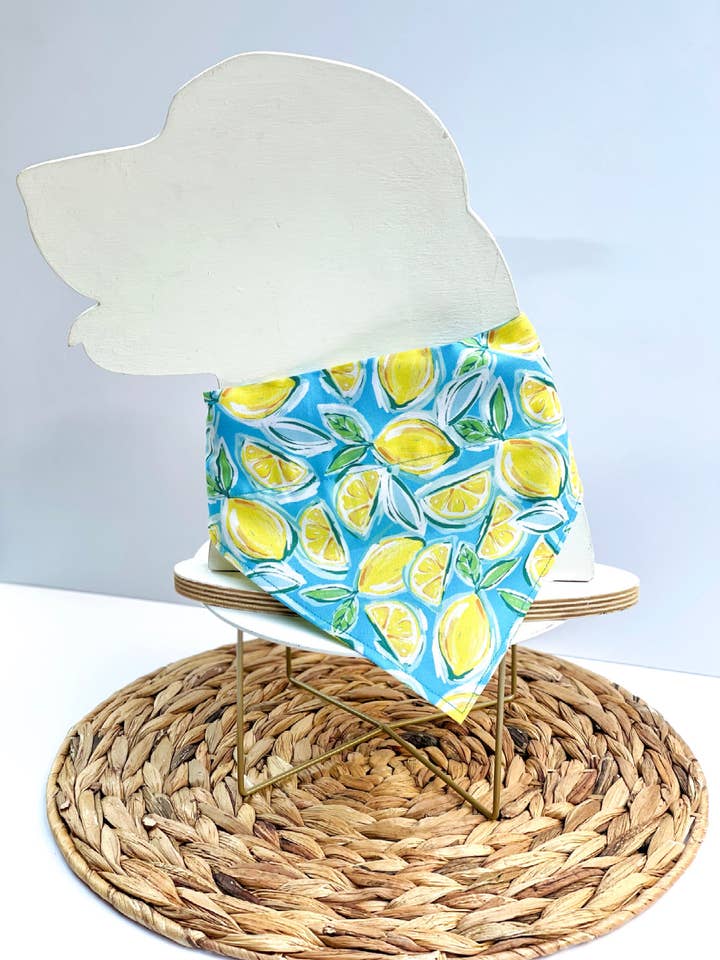 Squeeze The Day for wholesale by PawmettoPup