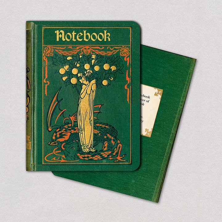 Fairy with Green Dragon - Vintage Book Cover Notebook for wholesale by Laughing Elephant