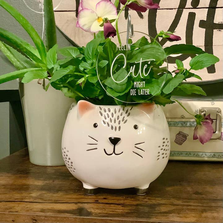 Crawford Custom Engraving - Wholesale Garden/Lawn Stake - Plant and Garden Markers, Plant Puns, Funny Plant Markers9