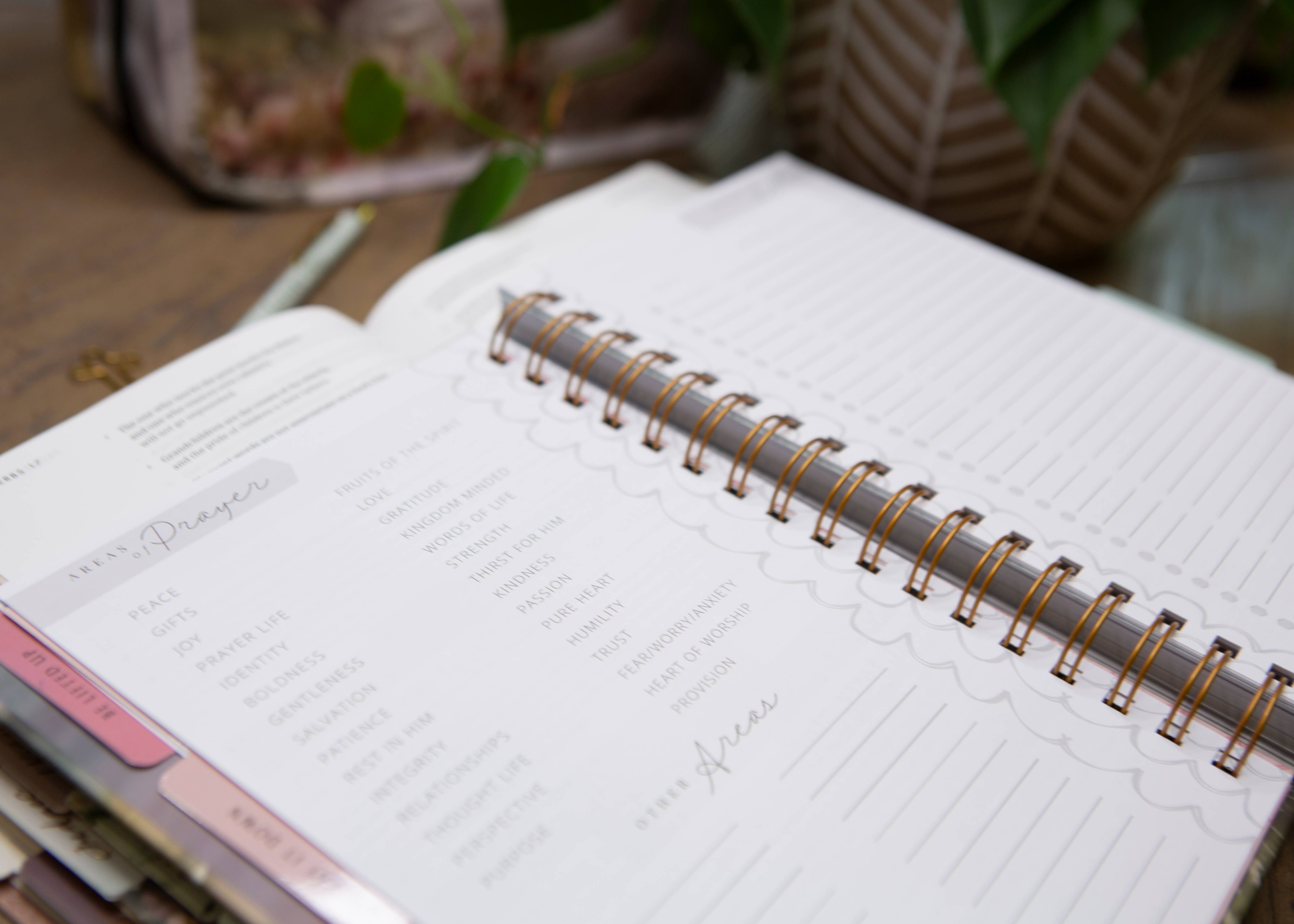 Chosen & Cherished - Wholesale Journal/Diary - New Mercies Prayer Journal for Women13