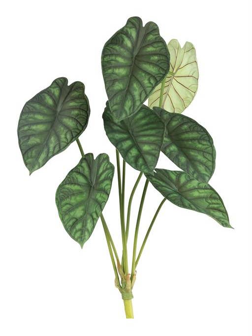 Plante Alocasia X7 36,5" Verte pour la vente par Select Artificials, Inc.