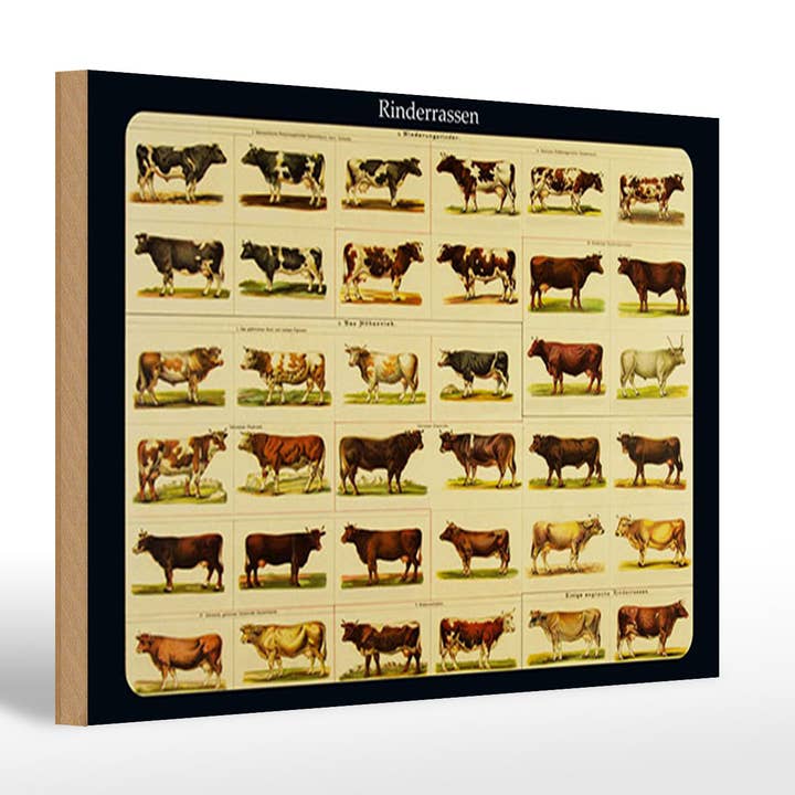 Cartello in legno Bovino 20x30 cm Illustrazioni di razze bovine Cartello per la vendita all'ingrosso da parte di Femer
