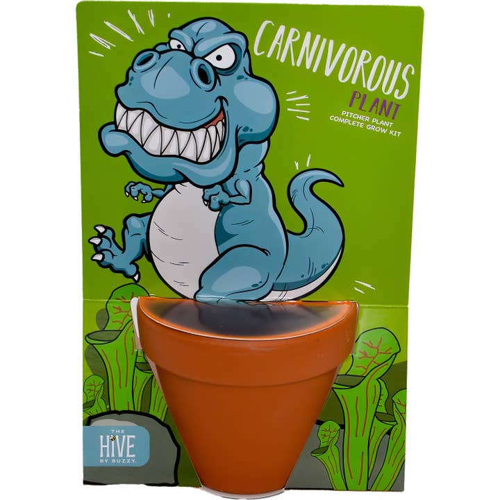 Buzzy, Inc. - Wholesale Plant Seeds - Whimsical Grow Kit - T-Rex EXCLUSIVE