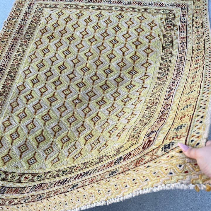 The Rug Mine - Wholesale Area Rug - Codi - 5x6 Vintage Barjasta Area Rug1