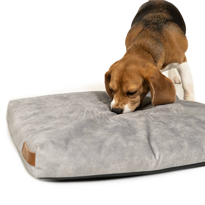 Rexproduct Sp. z o.o. Sp. k. – Engroshandel Seng - Hund – Hundeseng Rexproduct Blød, økologisk pude, farver10