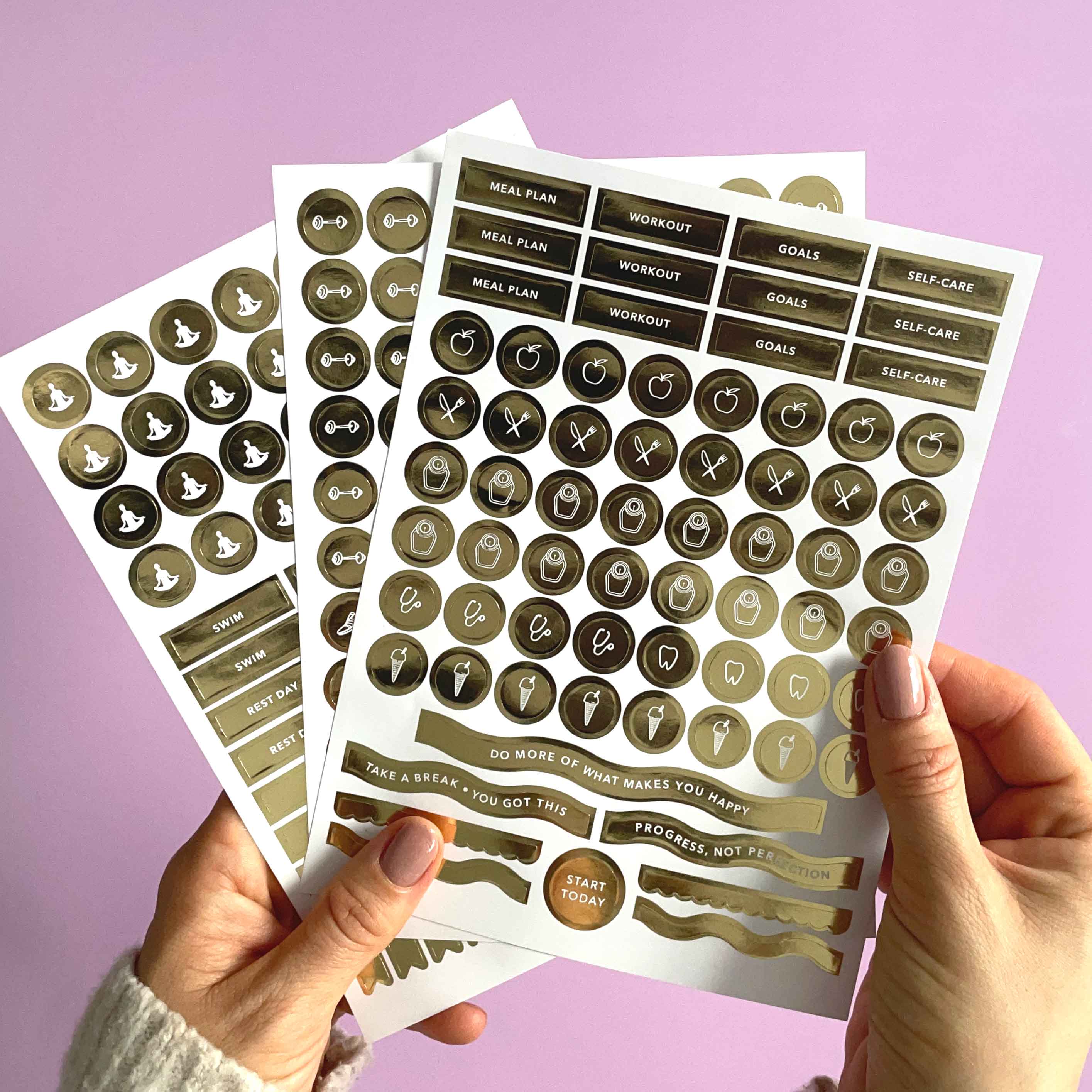 Blush And Gold – Großhandel Aufkleber – Fitness-Aufkleberpaket (3 Blatt)1