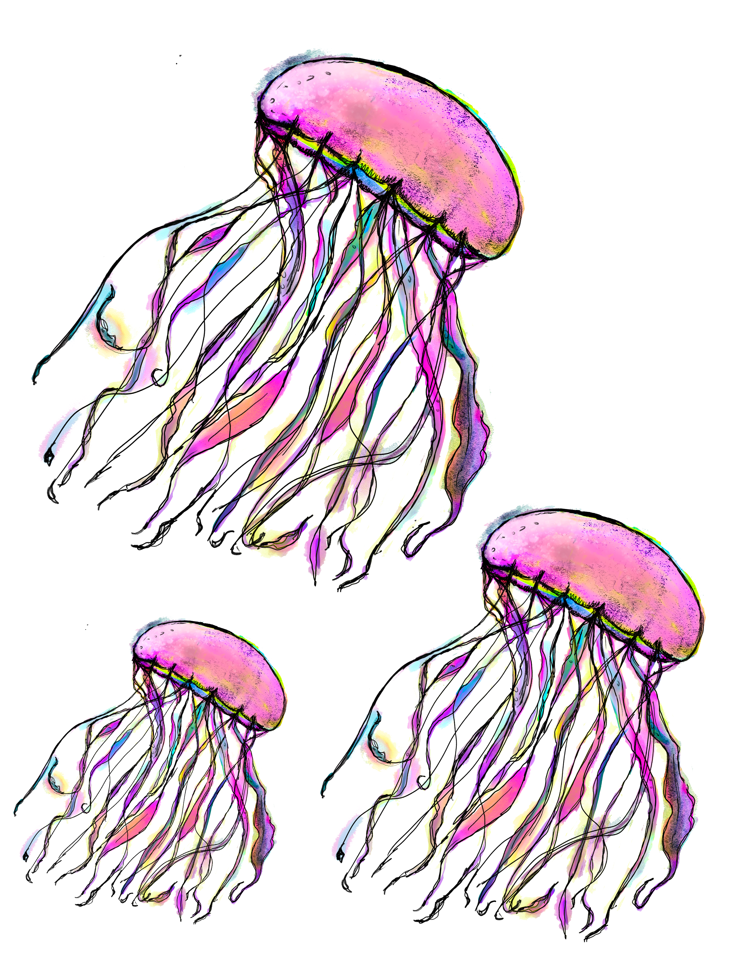 More ART  | More Heart - Wholesale Sticker - Zurri Jelly Fish -  Premium Vinyl Sticker2