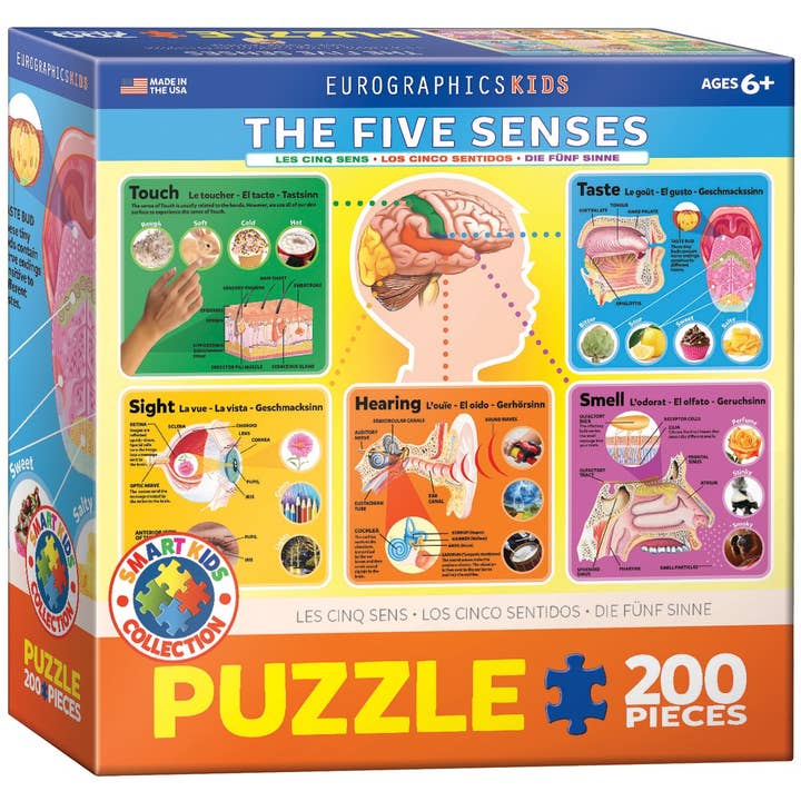 The Five Senses for wholesale by Eurographics Puzzles USA