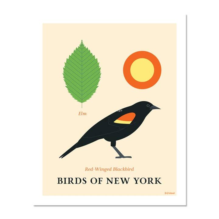 Red-Winged Blackbird - Birds of New York for wholesale by Bold Version Design Co.