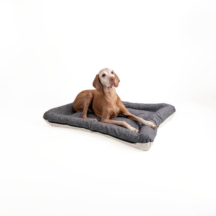 Snoozer Pet Products - Vendita all'ingrosso Letto - Cani - Cuccia per Cani All Day di Snoozer15