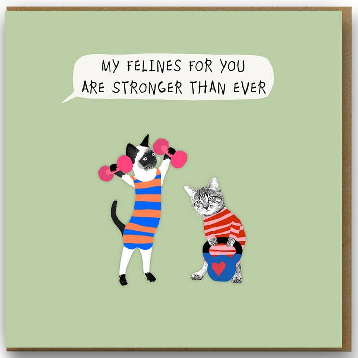 Amore 068 Carta (Anniversari e San Valentino) Feline Forti per la vendita all'ingrosso da parte di Sally Scaffardi Design