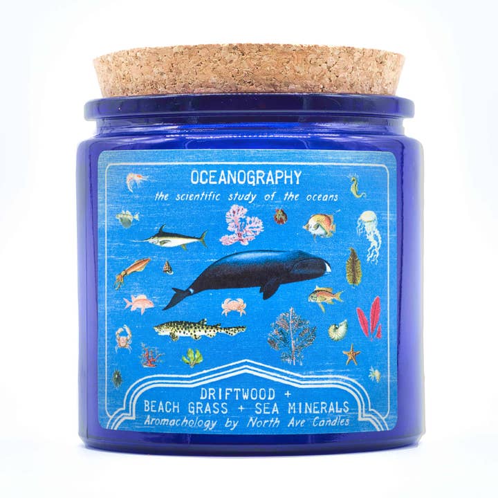 Aromachology / Ocean Candle / Beach Candle / Aquarium Gift for wholesale by North Ave Candles