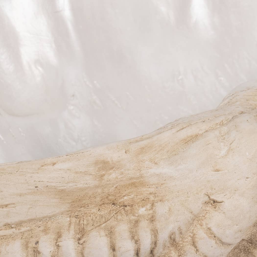 Sagebrook Home - Wholesale Decorative Plate/Dish/Bowl - Decorative Bowl - Ivory Resin Coastal Wavy Rim, 16 in.8