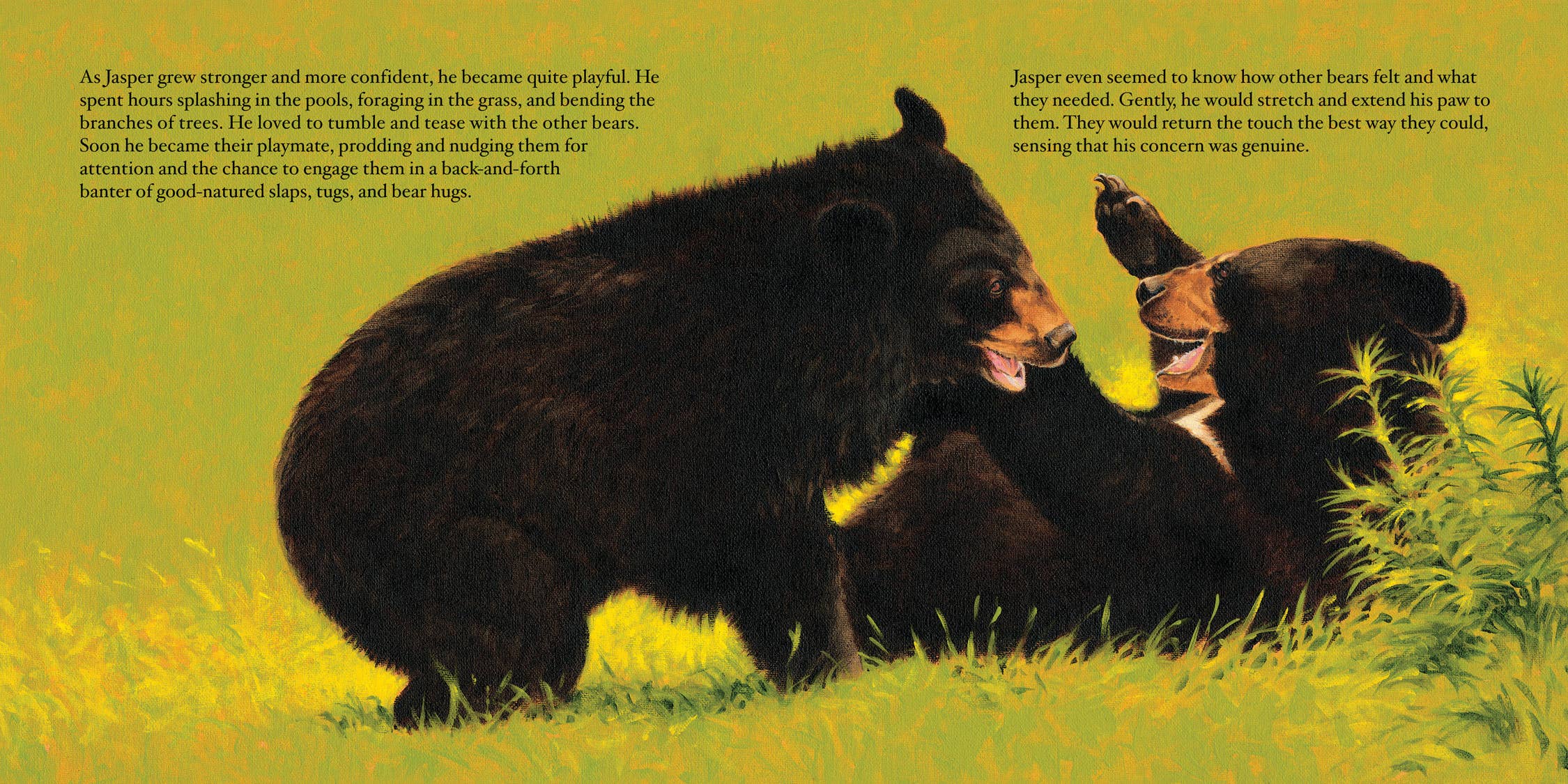 Sleeping Bear Press - Wholesale Book - Kids - Jasper's Story: Saving Moon Bears Picture Book3