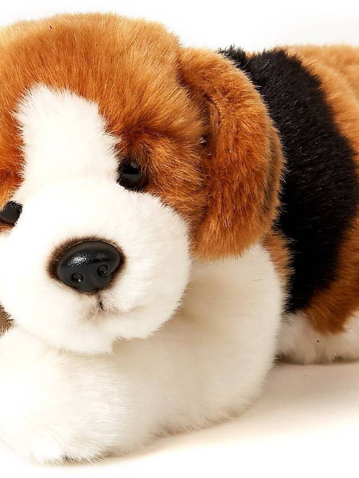 Beagle puppy, lying down - 24 cm (length) - cuddly/plush toy for wholesale by Uni Toys