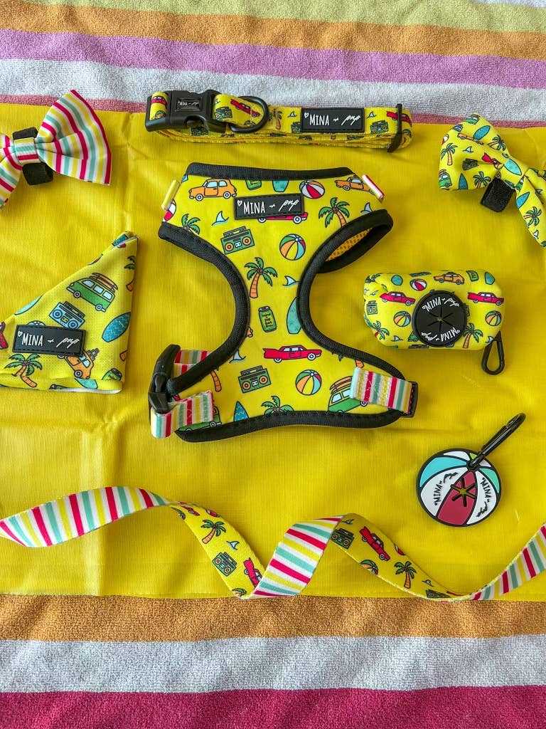 Mina + Pup - Wholesale Pet Poop Bag Dispenser - BEACH BALL DOUBLE THICKNESS AND DOUBLE SIDED POOP BUDDY8