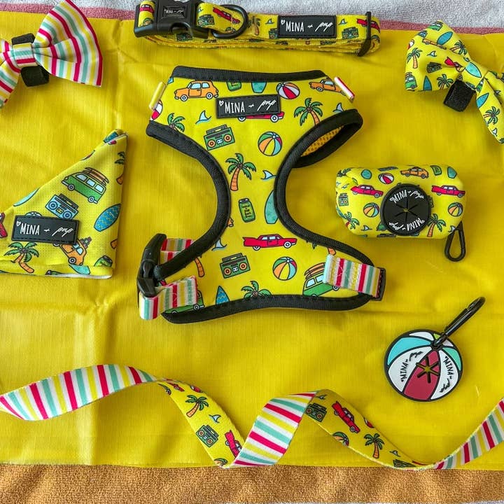 Mina + Pup - Wholesale Pet Poop Bag Dispenser - BEACH BALL DOUBLE THICKNESS AND DOUBLE SIDED POOP BUDDY8