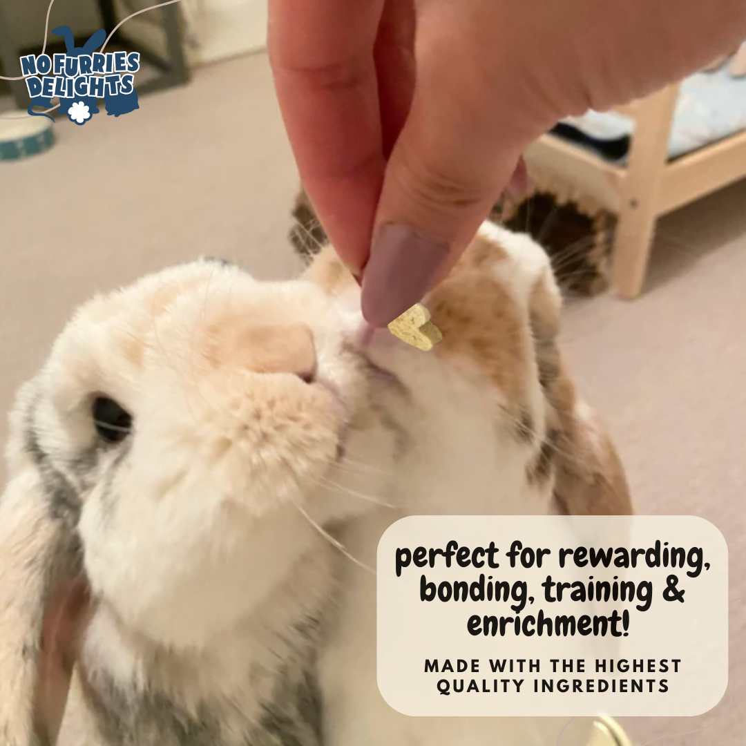 No Furries Delights - Wholesale Pet Supplement - Not Cat/Dog - Bark Variety Pack (50g | 1.76oz)7