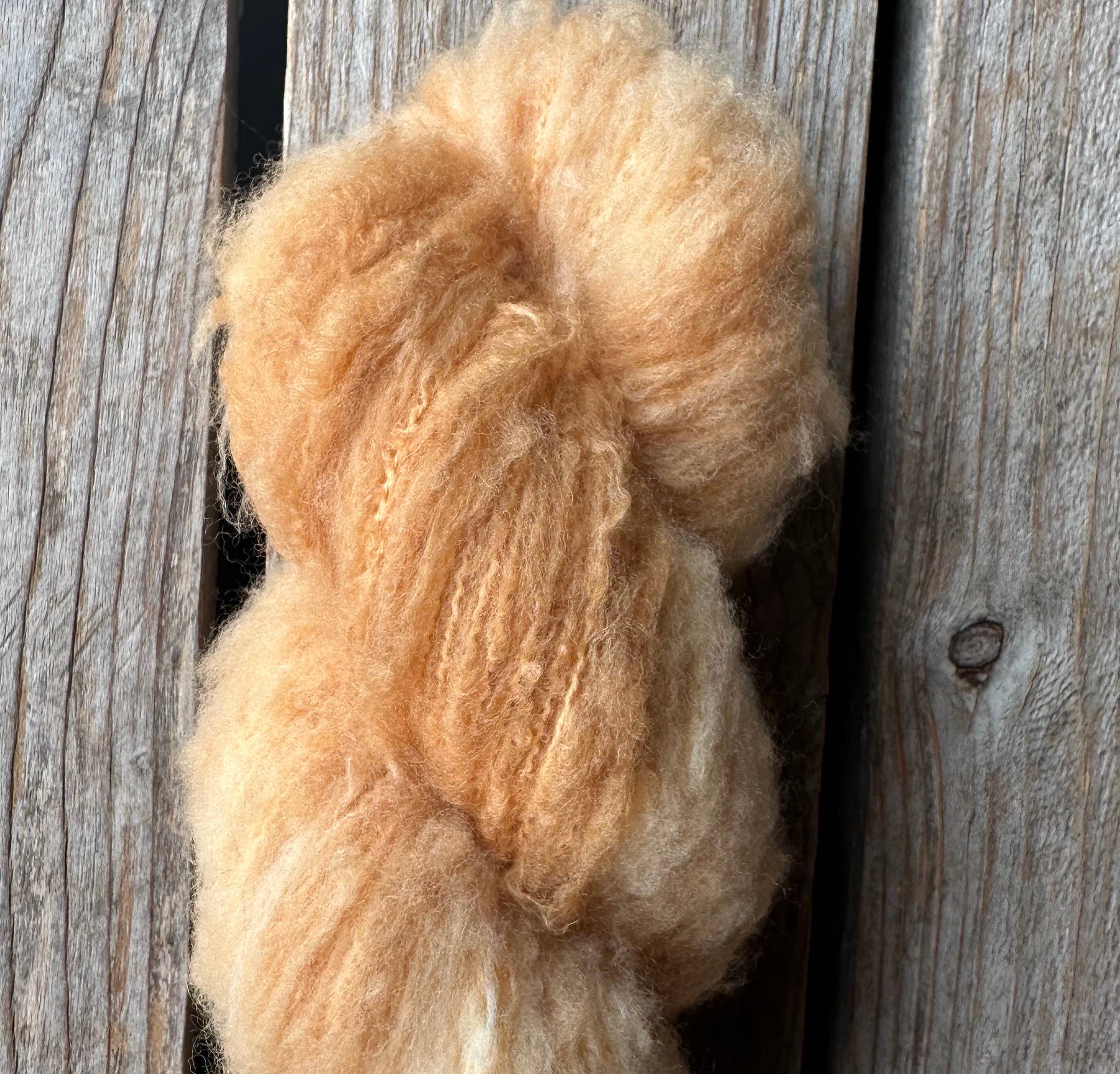 Koigu Wool Designs – wholesale Garn – Andra - Extra-fin Borstad Merinoullgarn16