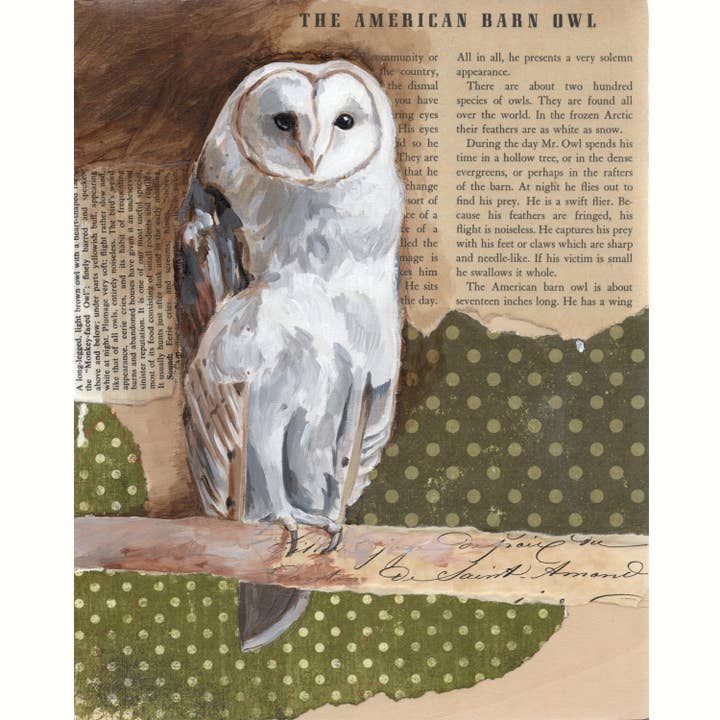 Kasey Melissa Art - Venta al por mayor Tarjetas de felicitación - Lechuza común, tarjeta de felicitación en blanco