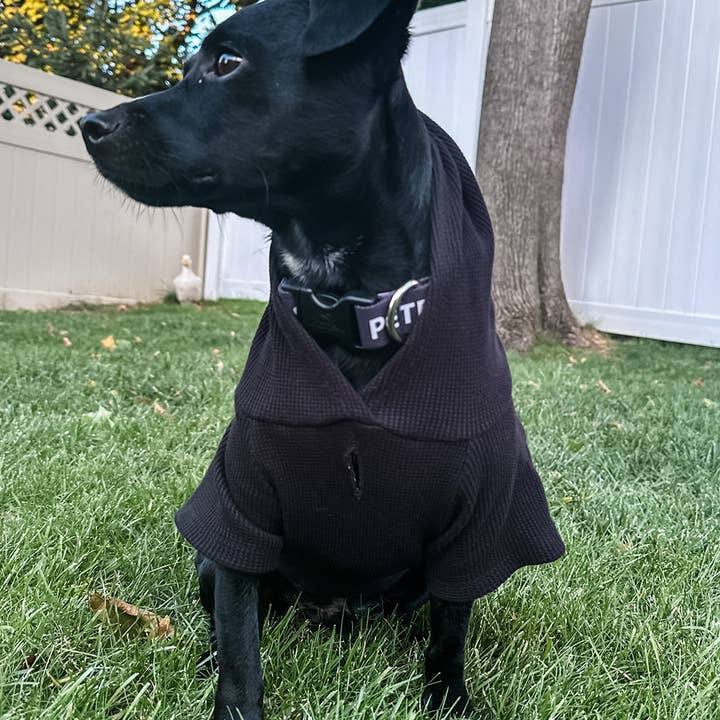 charcoal The Waffle Pet Hoodie- FINAL SALE for wholesale on Faire7