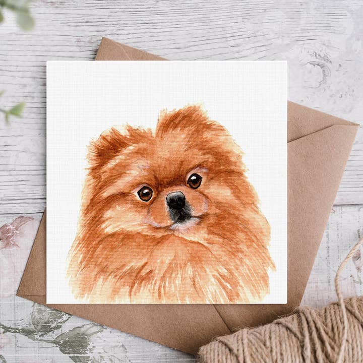 Pomeranian Breed Greetings Card for wholesale by Cloud Jellybean Art