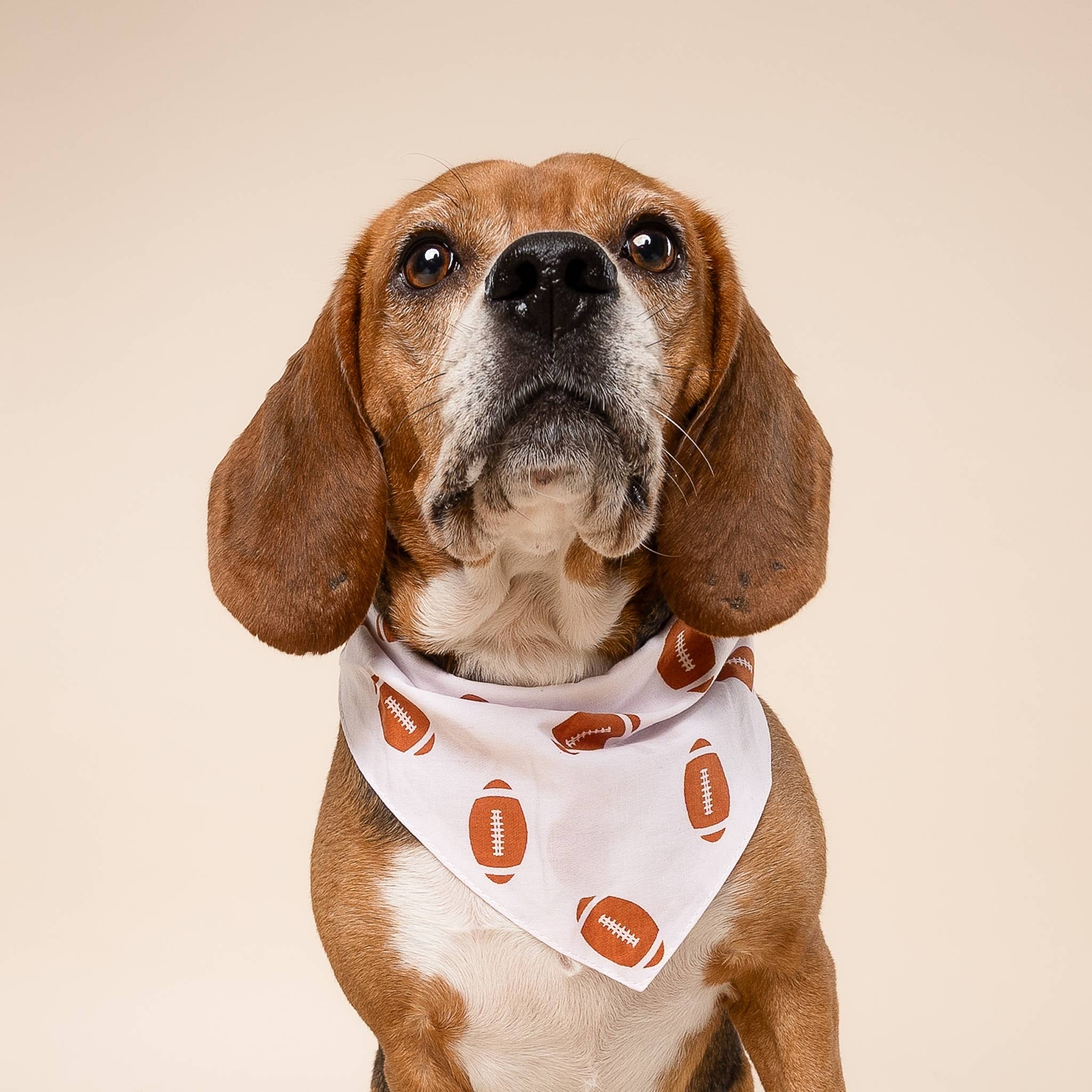 The Paws – Engroshandel Bandana - Hund – Quarterback Fodbold Dog Bandana1