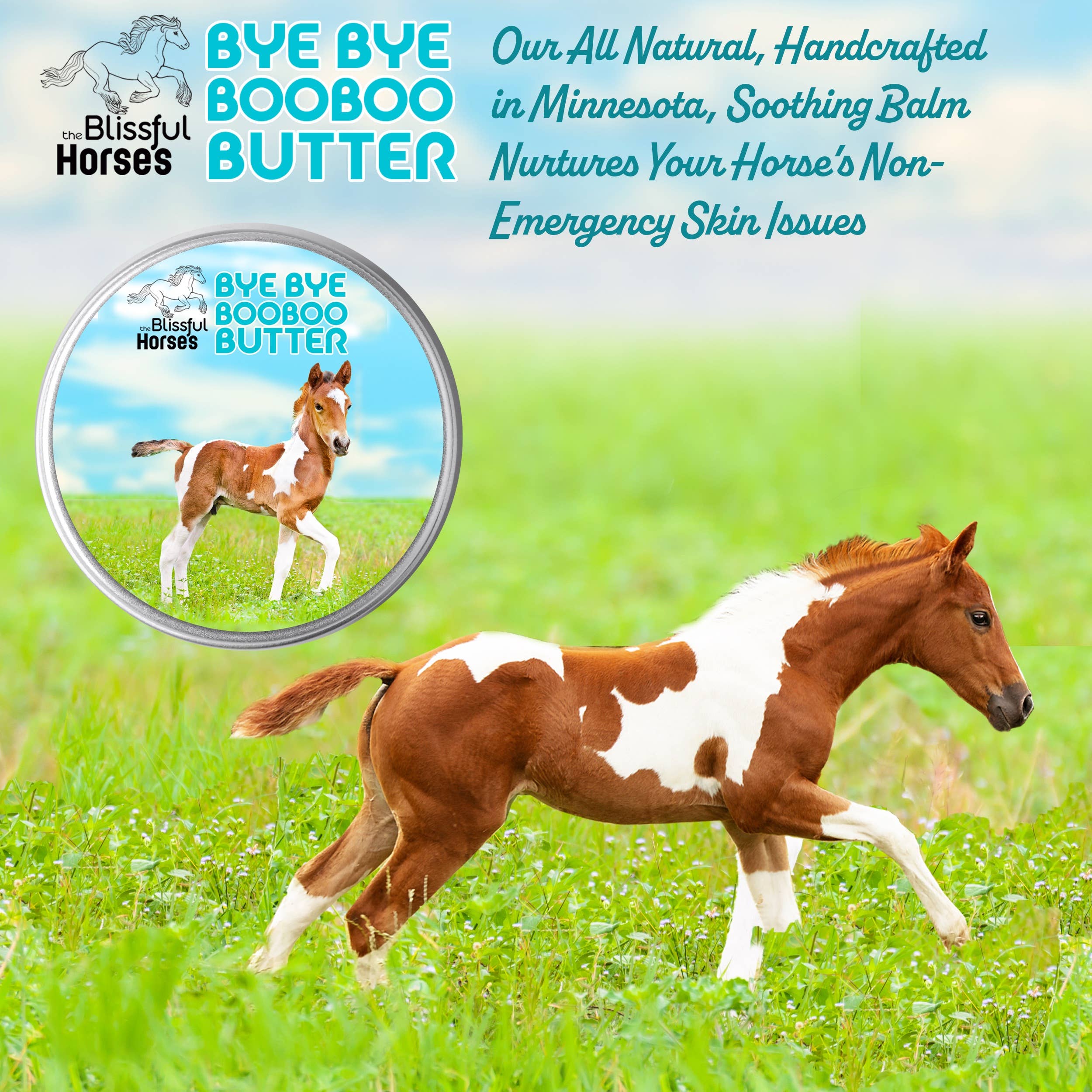 The Blissful Dog - Wholesale Pet Balm - Dog - The Blissful Horses Boo Boo Butter in Tins & Tubes4