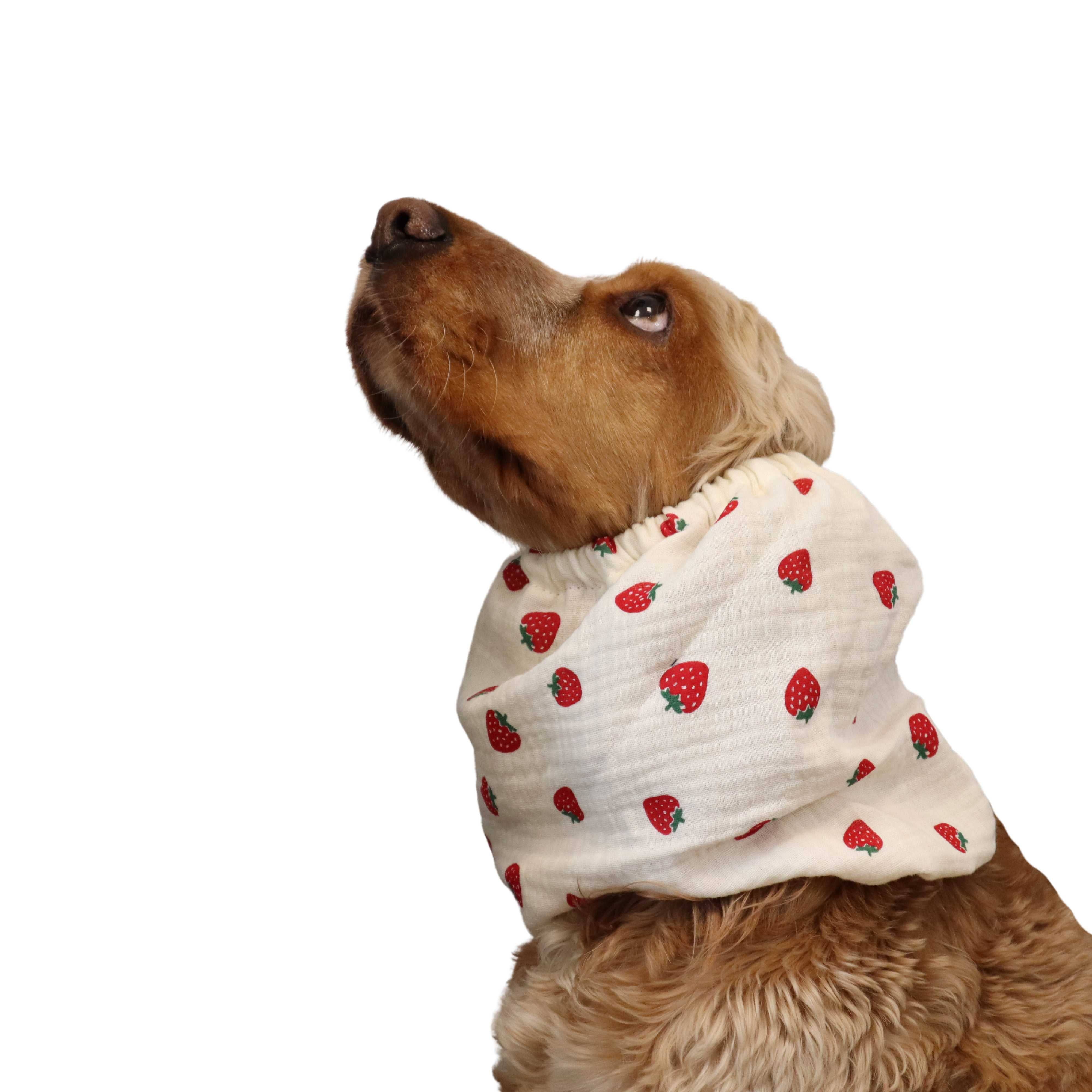Distinguish Me – wholesale Halsduk - Hund – Lättvikts hundsnood i muslin med jordgubbar1