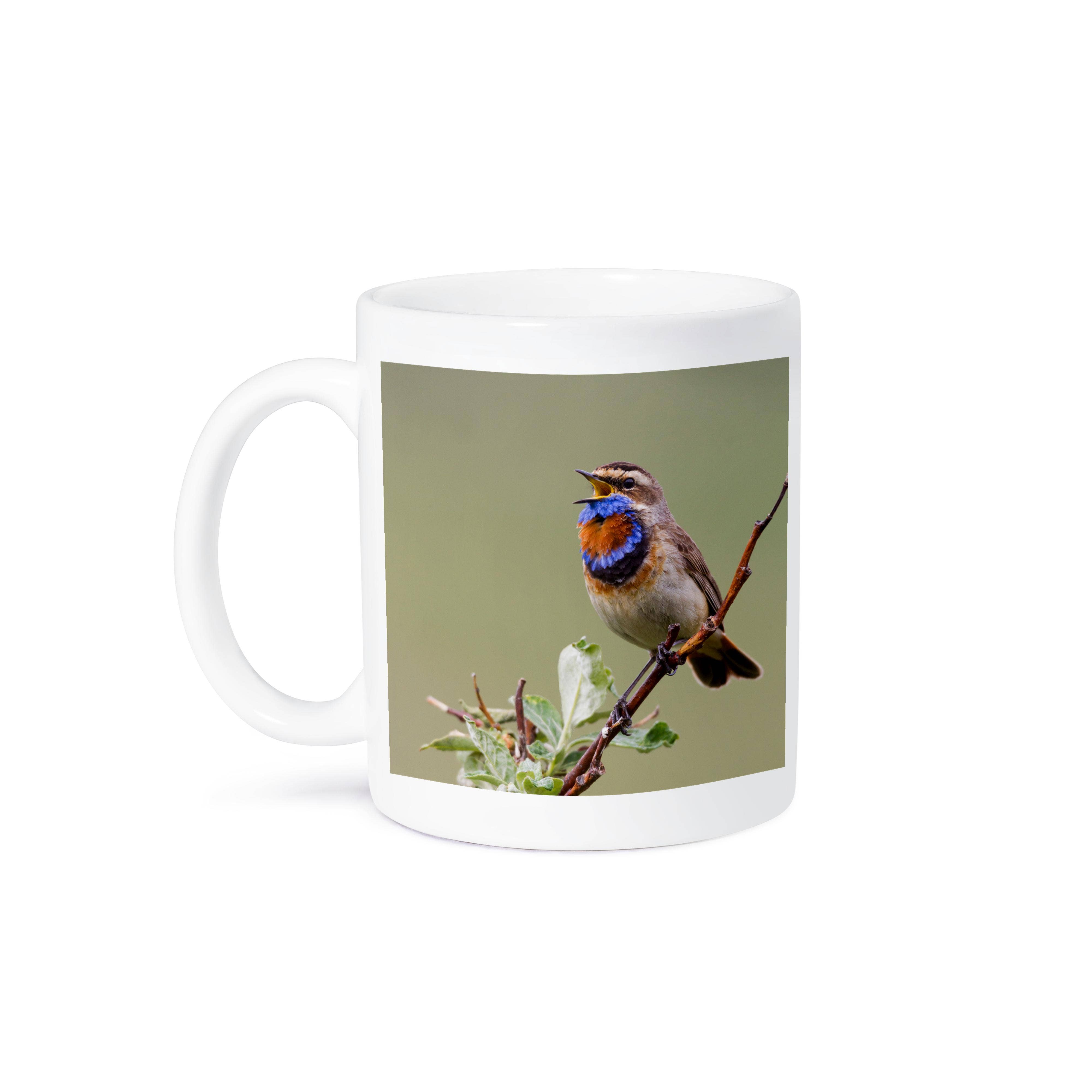 3dRose - Wholesale Coffee Mug - 3dRose, Bluethroat Male, Territory Song, Mug8