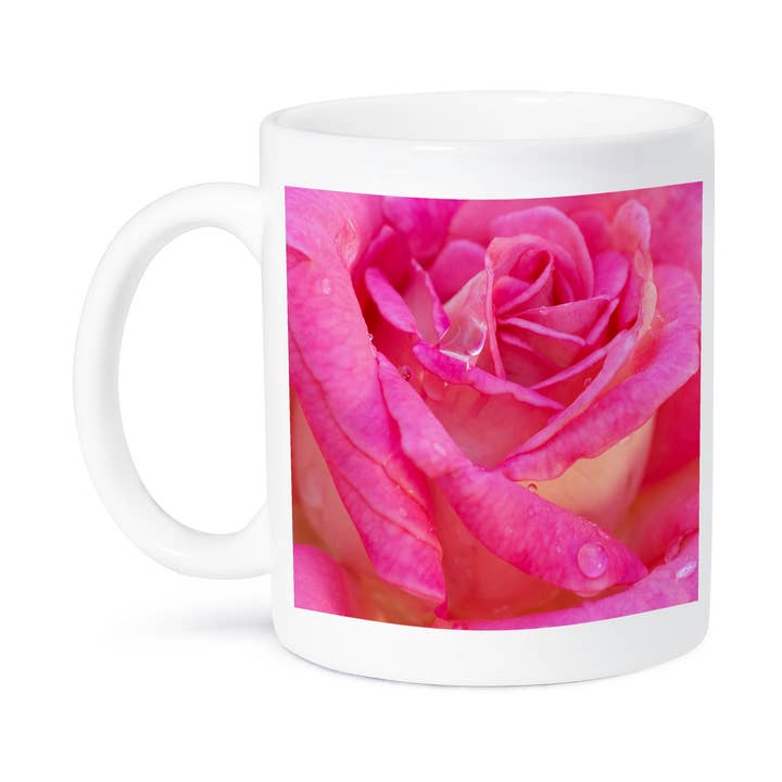 3dRose - Wholesale Coffee Mug - 3dRose, USA, Georgia, Savannah. Closeup of pink rose with water droplets, Mug8