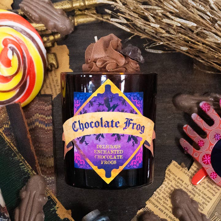 The Lonely Broomstick - Wholesale Novelty Candle - Chocolate Frog Candle1