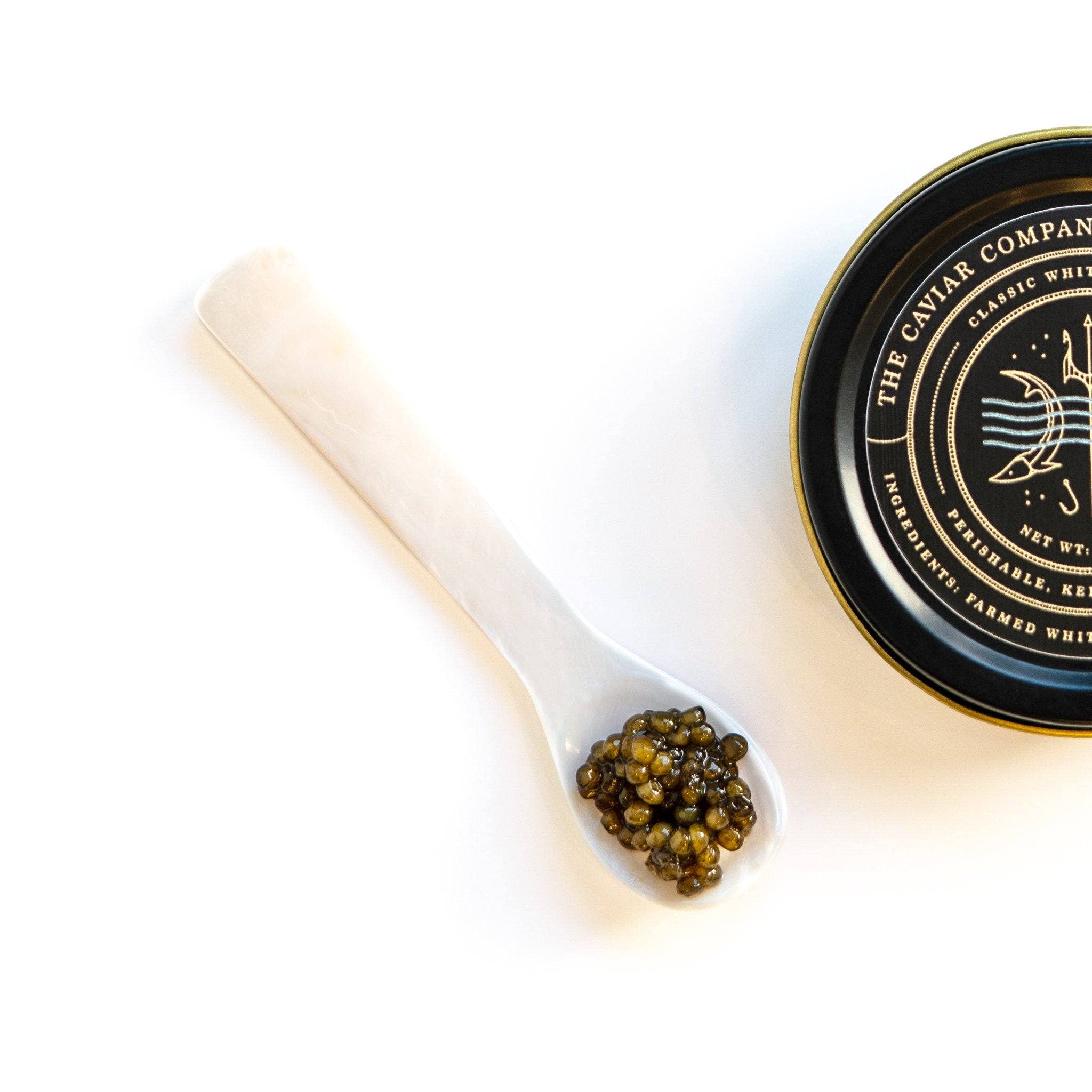 The Caviar Co. - Wholesale Fish/Seafood - Classic White Sturgeon Caviar3